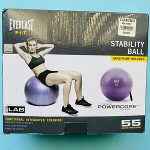 Everlast stability ball